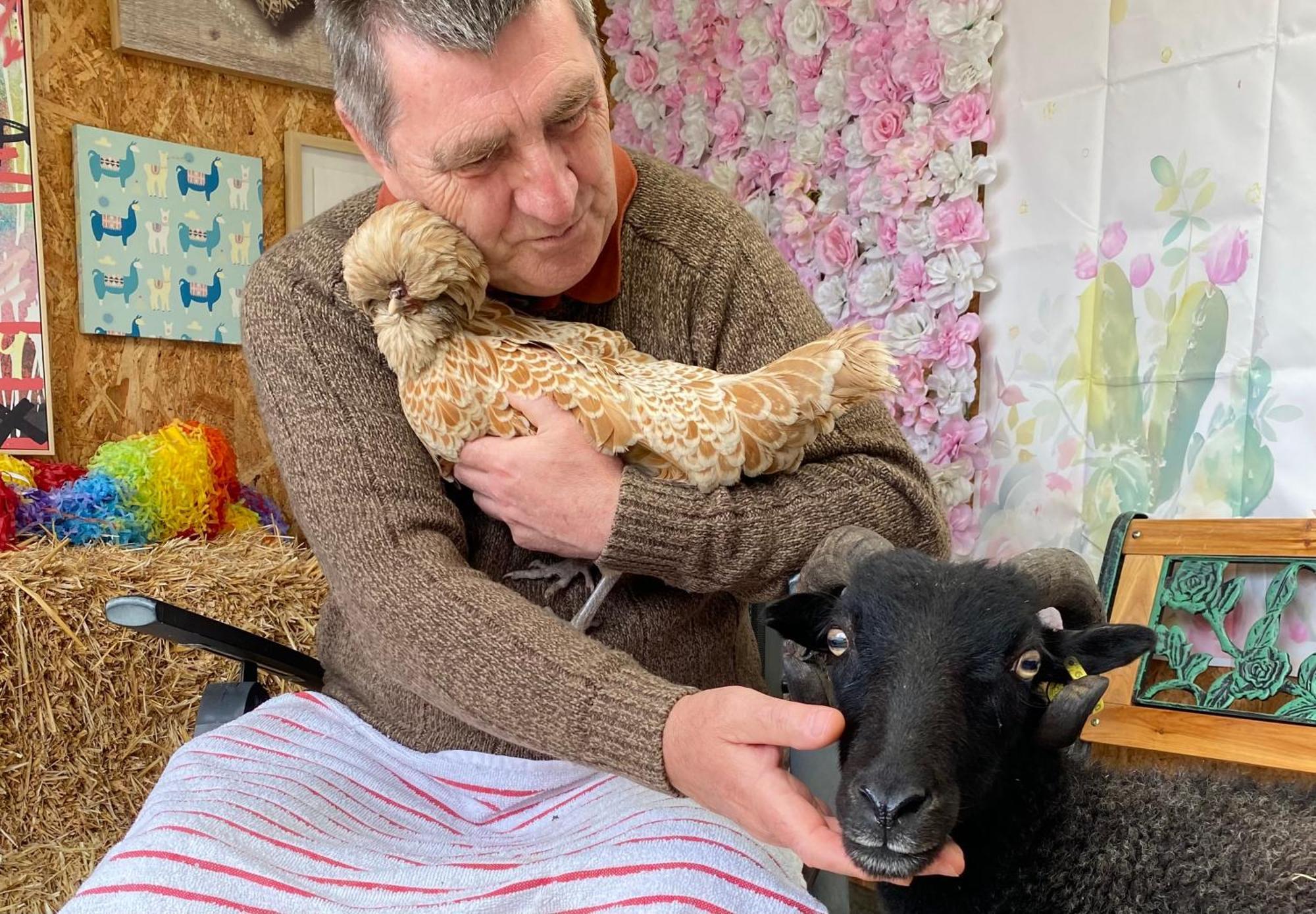 Unique Stay On An Alpaca Therapy Farm With Miniature Donkeys North Wales Mold Εξωτερικό φωτογραφία