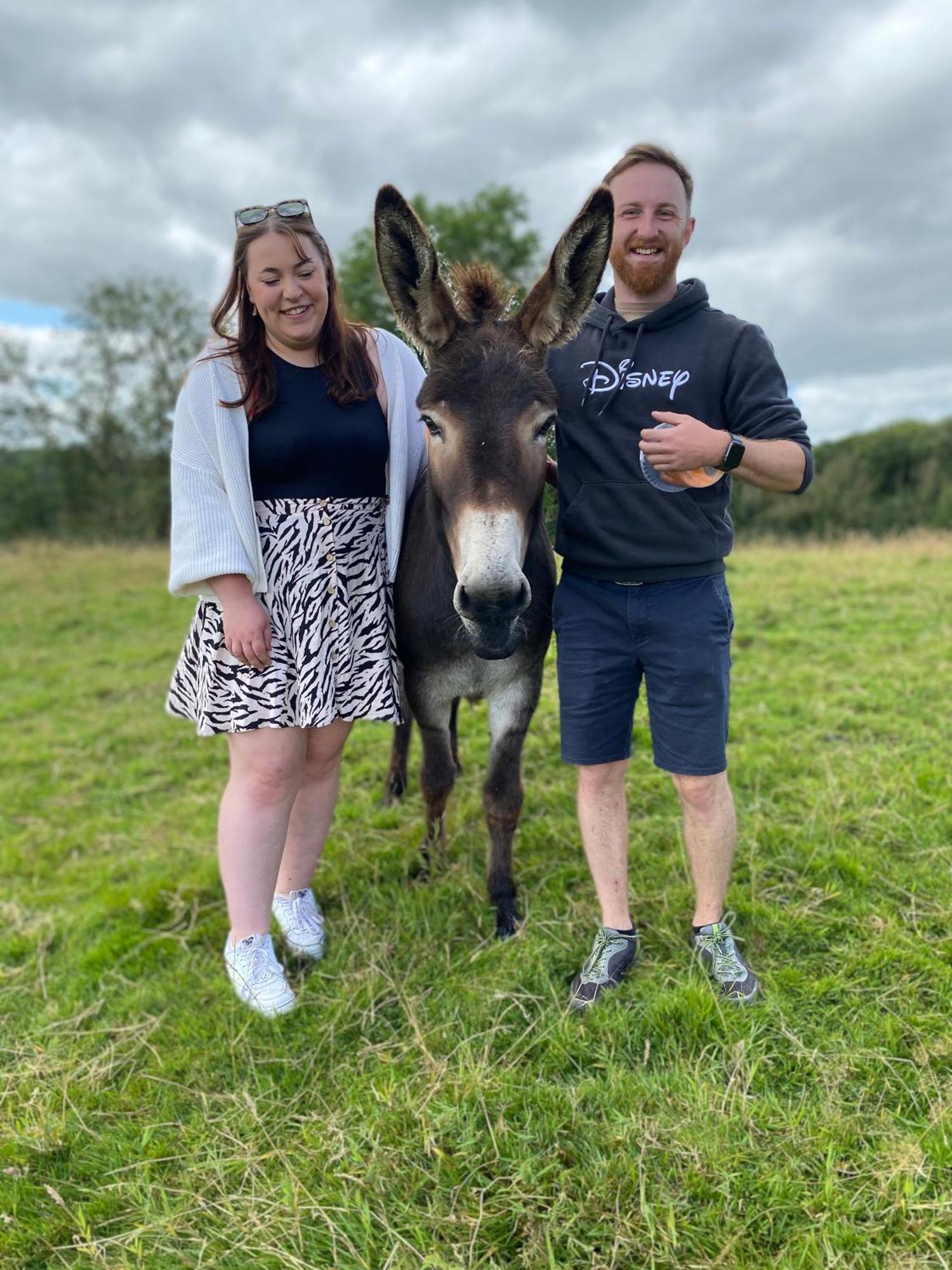 Unique Stay On An Alpaca Therapy Farm With Miniature Donkeys North Wales Mold Εξωτερικό φωτογραφία